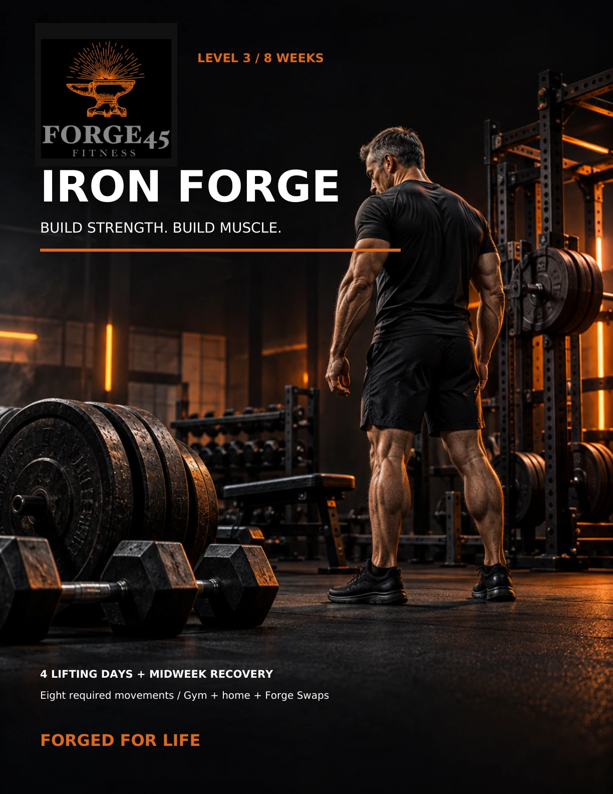 Approved Iron Forge cover