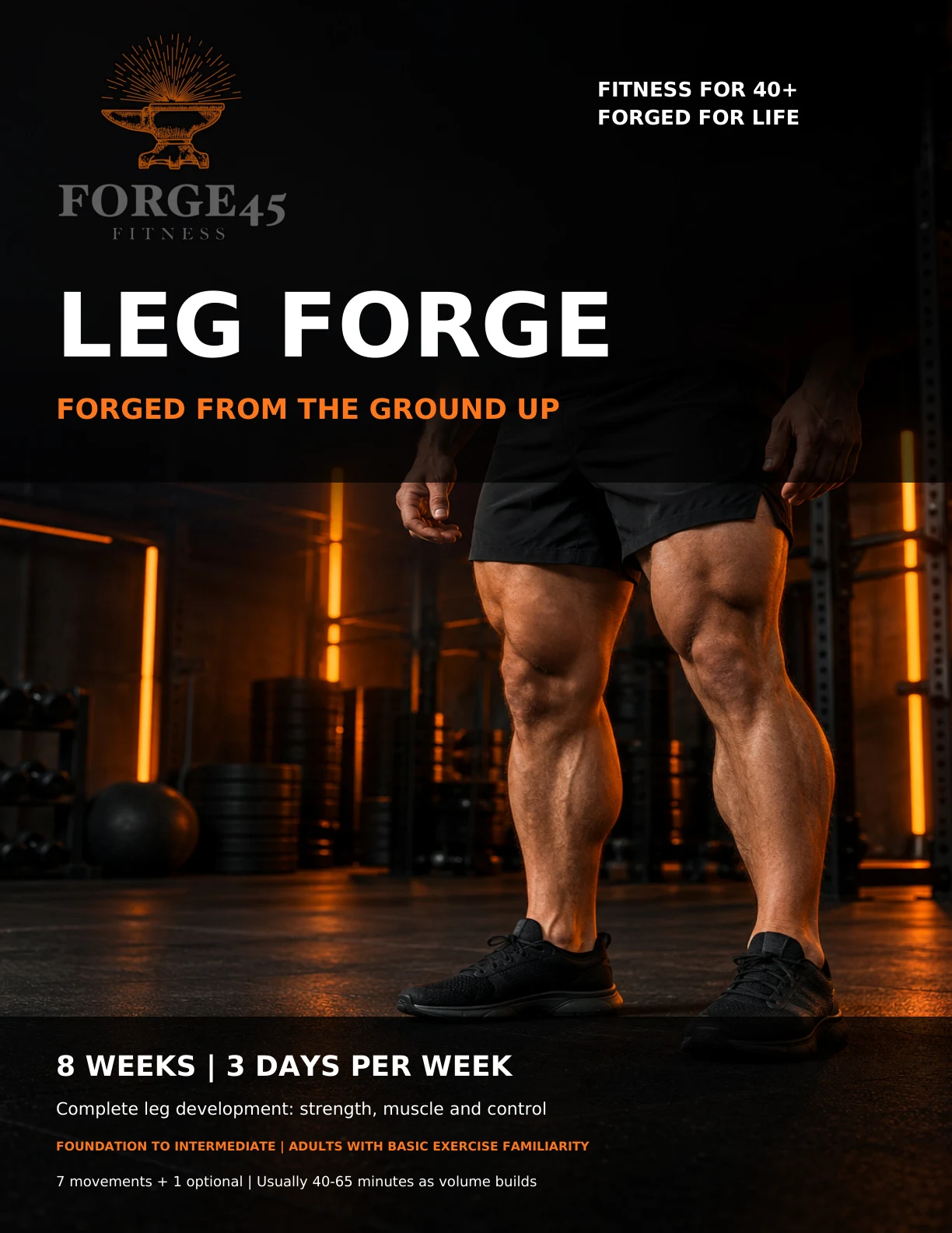 Approved Leg Forge cover